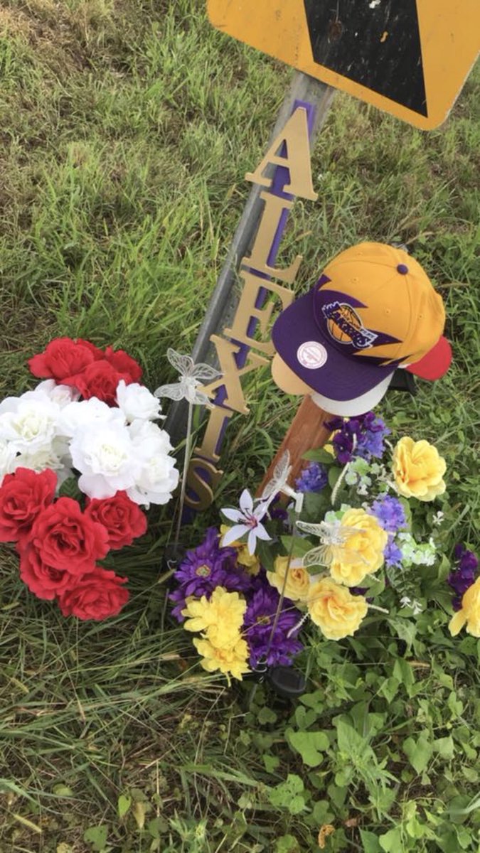 VickiNo_Secretz's tweet photo. #LLLex 🕊💜💛 https://t.co/tvKWSMRAMo