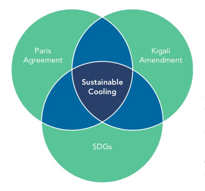 download thermal analysis to support decommissioning of the molten salt reactor experiment