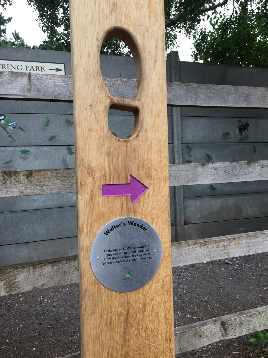 tringpark_team's tweet photo. Stuck for something to do this dull Monday afternoon? Come and meet us in the quad area of the NHM Tring @ 2.30 to have a wander around the park trails. We are after children’s honest opinions! #familytime #Tring #freshair https://t.co/FURqH4vUCi