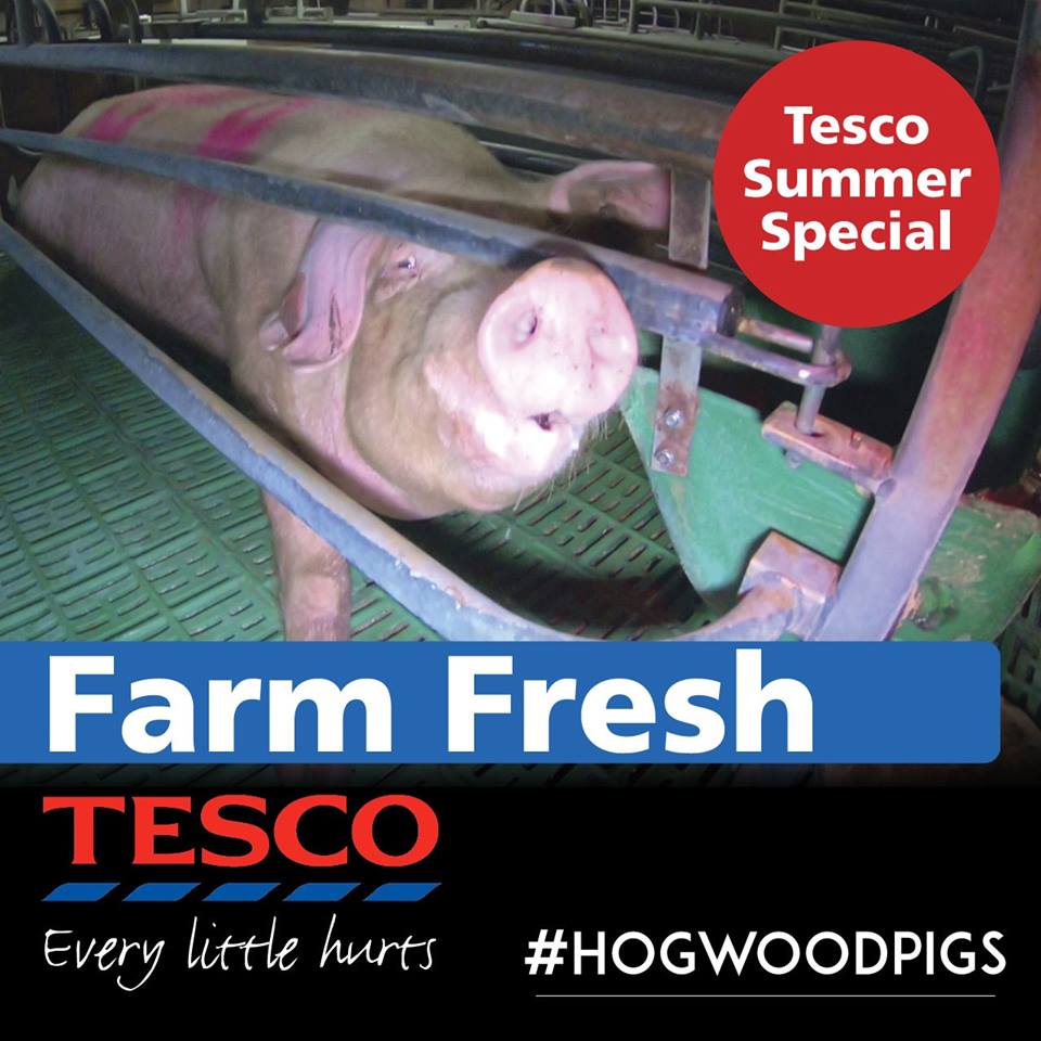 Aidan Coughlan tweet media