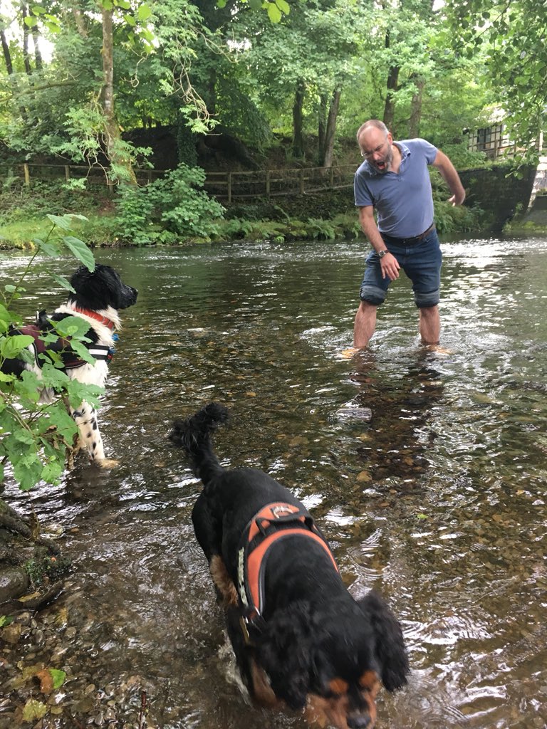 Bradycattle's tweet photo. Dad frew Ziggy’s ball in the water 🤦♂️ #couldntfindit #wetfrew 💦 https://t.co/v1fXhM57w6