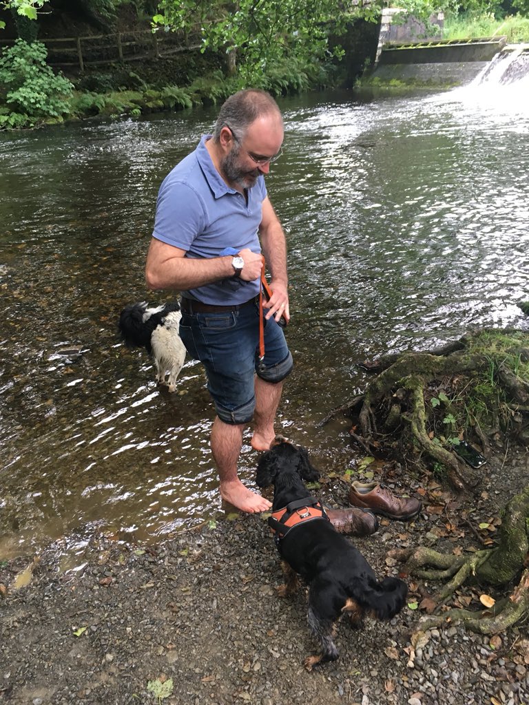 Bradycattle's tweet photo. Dad frew Ziggy’s ball in the water 🤦♂️ #couldntfindit #wetfrew 💦 https://t.co/v1fXhM57w6
