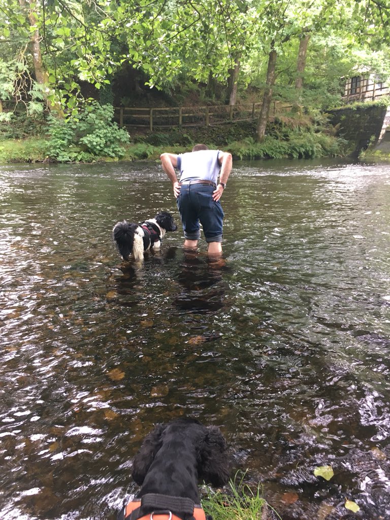 Bradycattle's tweet photo. Dad frew Ziggy’s ball in the water 🤦♂️ #couldntfindit #wetfrew 💦 https://t.co/v1fXhM57w6