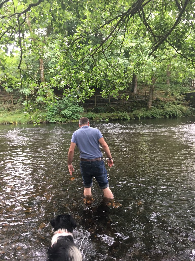 Bradycattle's tweet photo. Dad frew Ziggy’s ball in the water 🤦♂️ #couldntfindit #wetfrew 💦 https://t.co/v1fXhM57w6