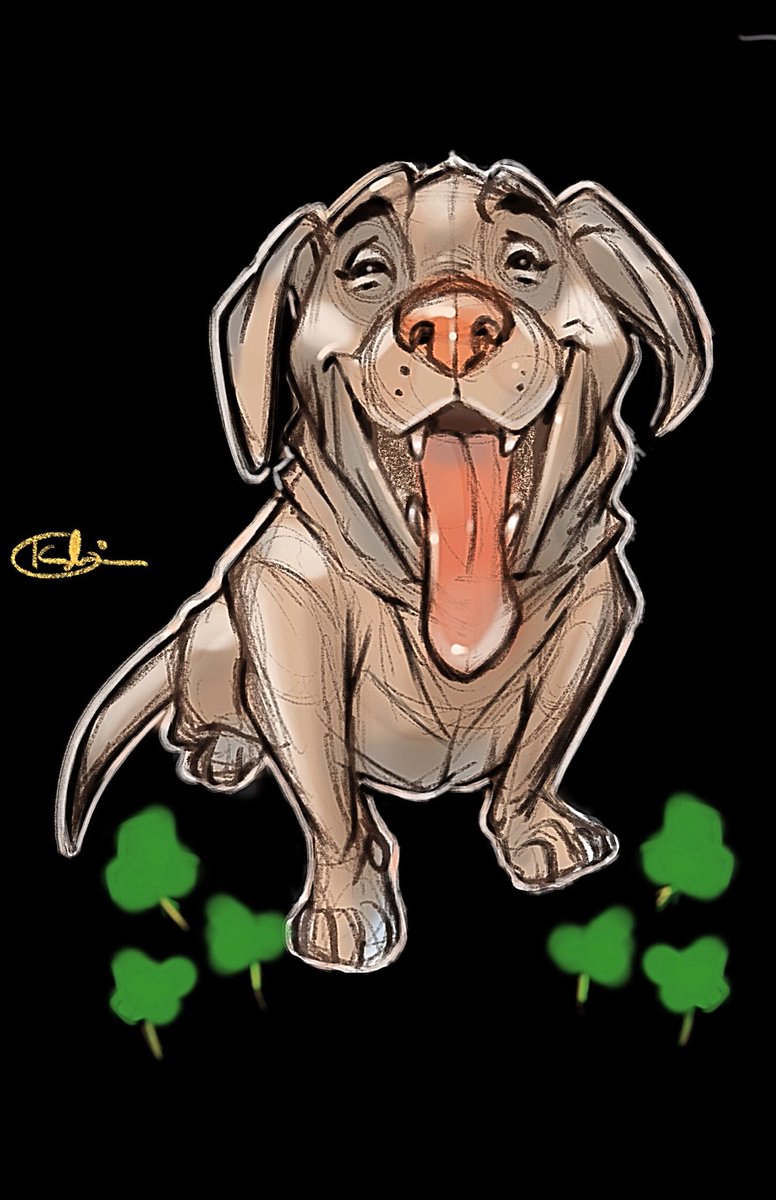 Ki Innis Labradorretriever Sketch Inspired By Makookestudio Design 絵 イラスト イラストレーション アニメーション ワンチャン ラブラドール Art Smile Kicstudio Design T Co Qnoocsisyx