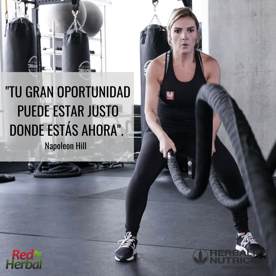 MonicaMoraHbl's tweet photo. "Tu gran oportunidad puede estar justo donde estás ahora". Napoleon Hill
¡¡Feliz lunes!!
#MonicaMora #RedHerbal #BeautyFriendsBogota #reto30días https://t.co/Xf2CGzO9nn