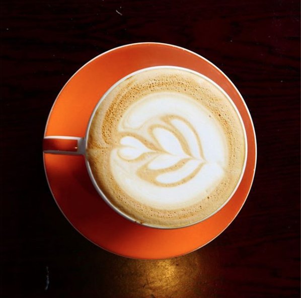 TheRemyApts tweet media