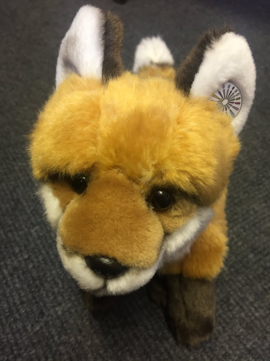 DUFoundationFox's tweet image. Some #MondayMotivation for you - #FoundationFox shows his #DCAD colours @EducationBy @du_foundation