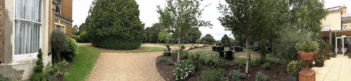 anton newcombe tweet media