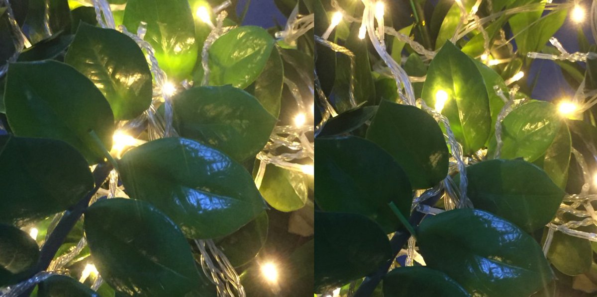 silingpalights's tweet image. String lights decorated tree🎈🎈🎈 #fairystringlights #decorativestringlights #stringlight #batterystringlights