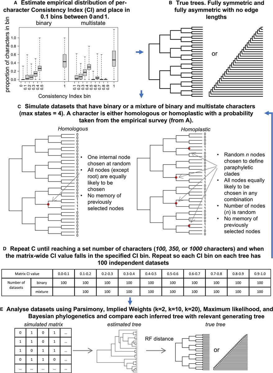 photonics linear