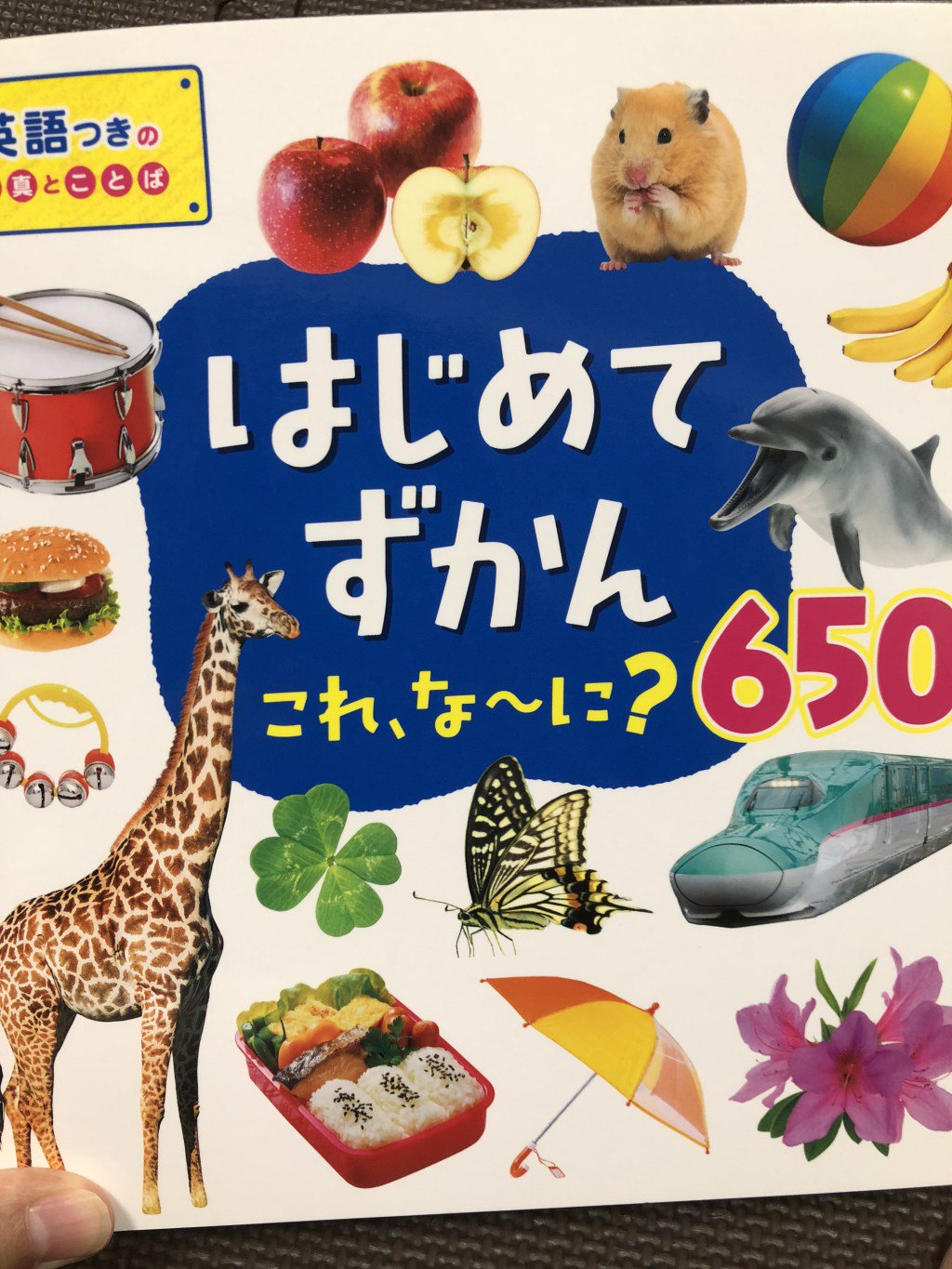モモ4y 2y はじめてずかん650を買った感想 子供 図鑑 はじめてずかん 450 650 T Co Qpndzam5cx