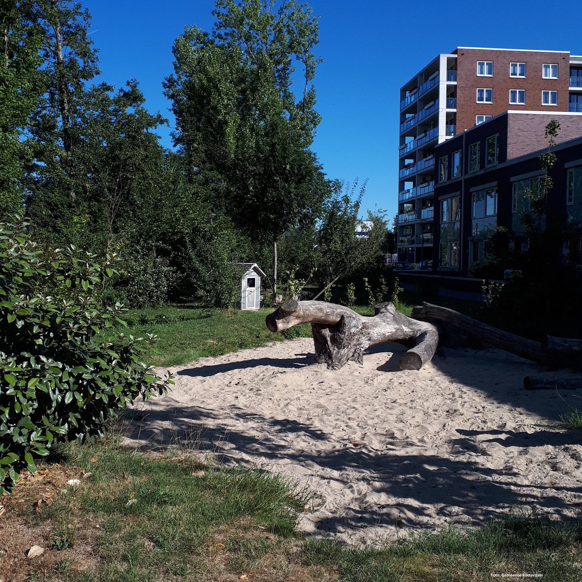 Stadsbeheer010's tweet photo. Tijdens #Keep-it-Green-Day op 8 september vertellen bewoners over hun #zelfbeheer project, zoals de #Assertuinen in #Schiebroek, #wijktuin #De-Esch of de #Vredestuin #Park-Pompenburg in het #Centrum. Kijk voor andere locaties en het programma op https://t.co/3ocZ4PWLy5 https://t.co/8YE4WG4Ka8