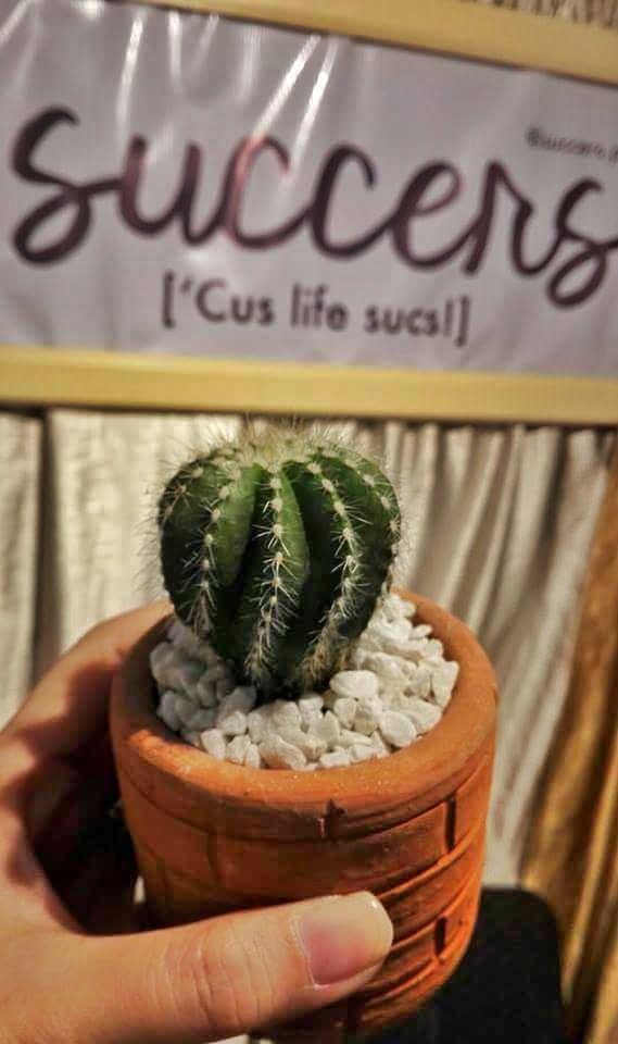 SuccersPH's tweet photo. Available na ulit si "Paopao" 🙈
Grab yours now! 💚
#adoptasuccer https://t.co/MabYxOLkEn