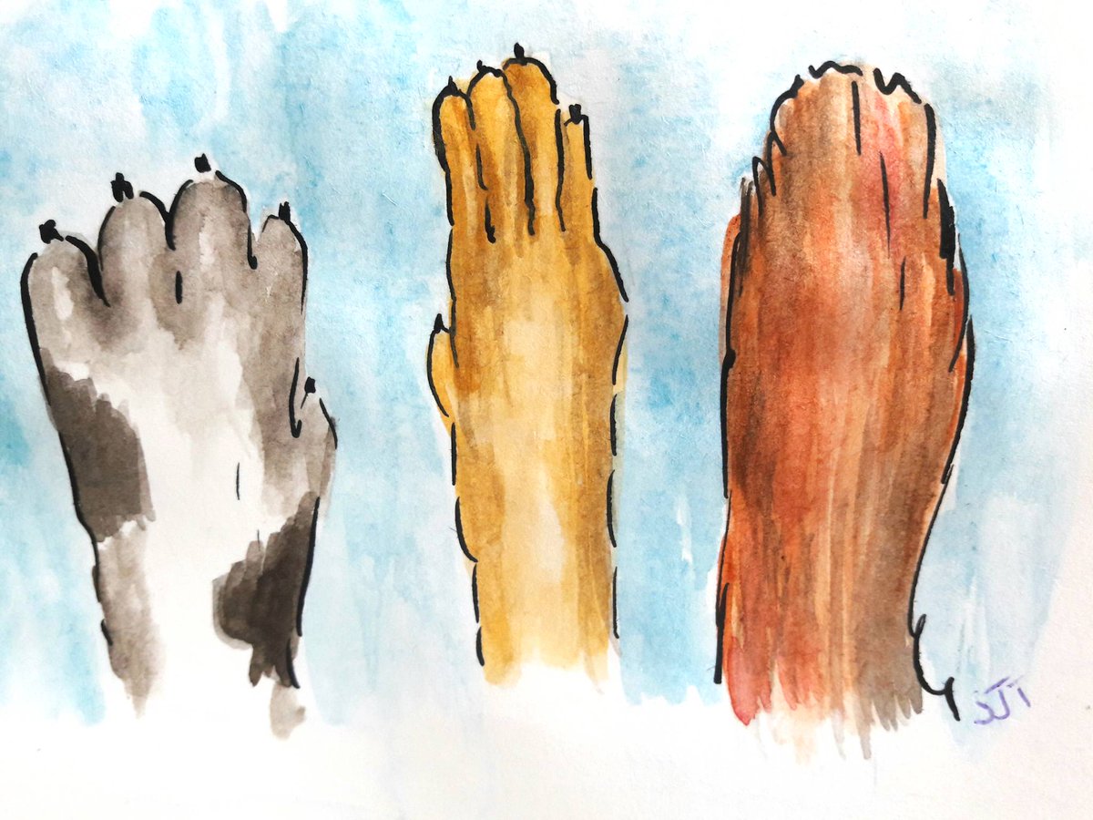 SallyJTaylor's tweet photo. Keeping to my theme around my dog Chester, the keyword is #multicultural for #weeklycharacterdesignchallenge. #pawsunite #dogs #kidlit #art #illio #story https://t.co/fCyIQAOOOT