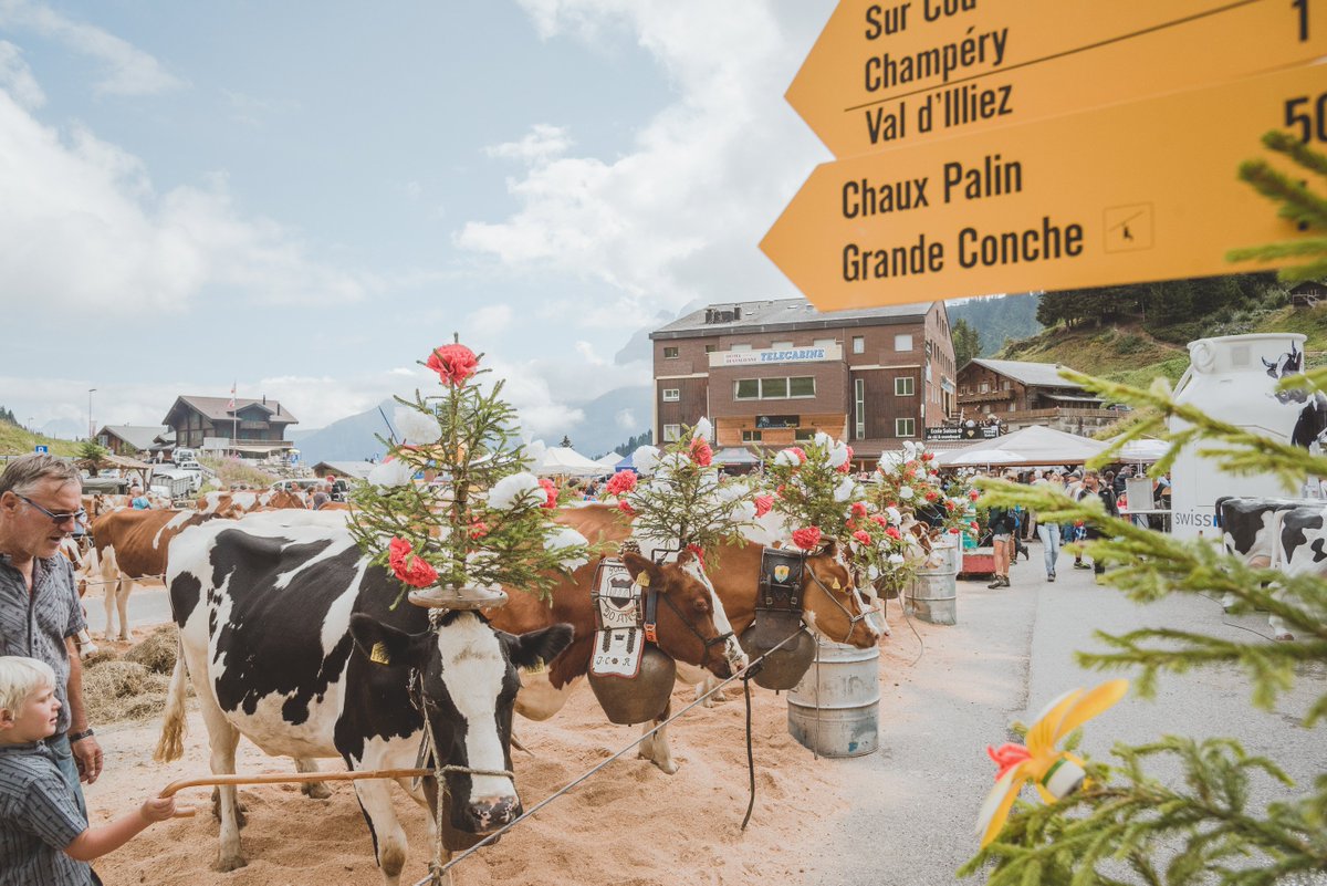 RegDentsDuMidi's tweet photo. La 28e édition de la #FoireAuBétail avait lieu ce weekend aux #Crosets. L'occasion de célébrer #terroir et #traditions ! 🐮 https://t.co/OwBwuN16Eu