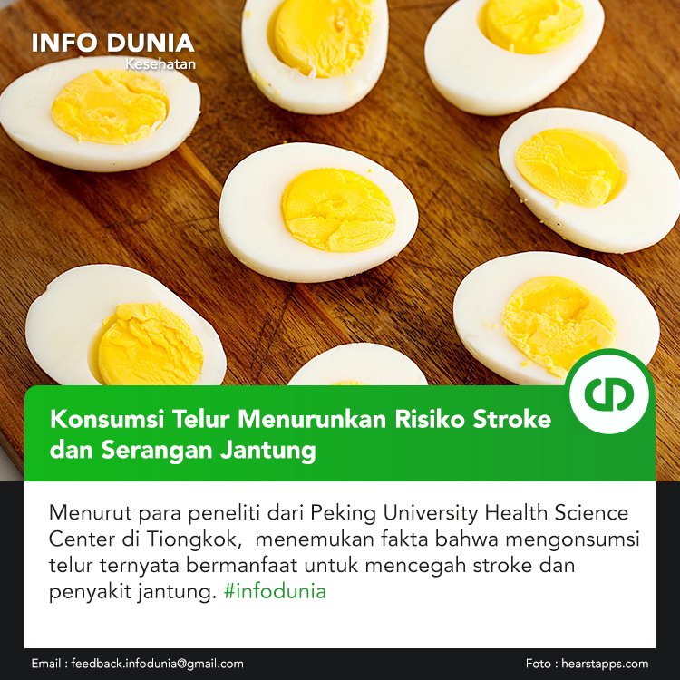 InfoDunia_ID's tweet photo. Hasil studi menunjukkan, konsumsi telur per hari berkaitan dengan penurunan risiko stroke sebanyak 26%. Sementara pada oenyakit kardiovaskular, risikonya menurun hingga 18%. #infodunia https://t.co/SwxTGf0c6g