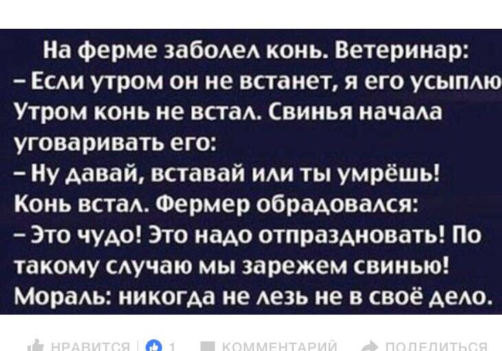 Ну, а раз такое дело, вот вам и ещё жизненной философии малёк чисто вдогоночку... 😼
#НуПрямВедьДикоЖизненноЖежРаскудриттваю 😹