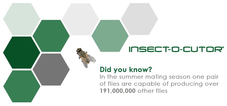Insectocutor tweet picture