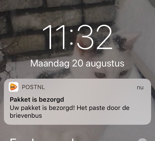 PostNL on Twitter: "@RachelUitBussum Hé Rachel, post en pakketten worden toch écht door een andere bezorger gebracht. Sorry dat brief wat later is bezorgd - ik vermoed dat het inderdaad wat