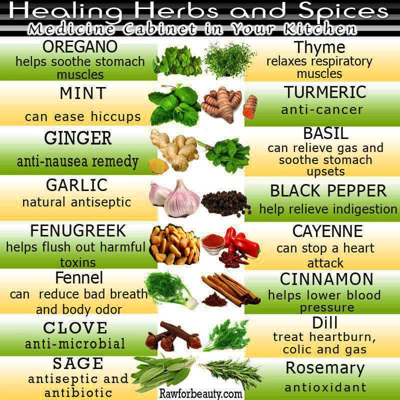 Health Benefits Of Herbs And Spices Chart