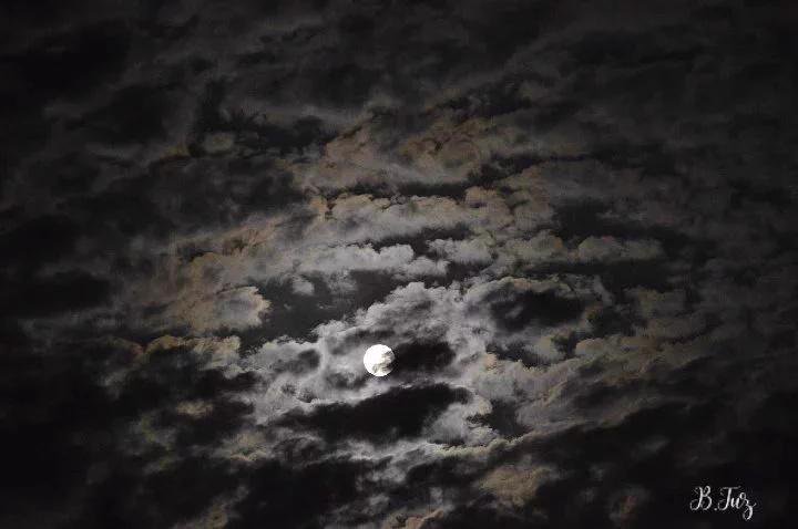 worIdspaces's tweet image. Night mosaic. Ch🍑🍒🍓🍍🍏🍉