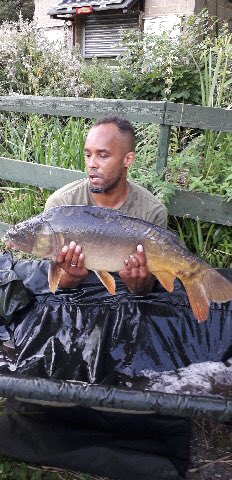 One of the two from a short day session yesterday 16lb 3 #Mirrorcarp called Lord Nelson #pelletwaggler #clublake