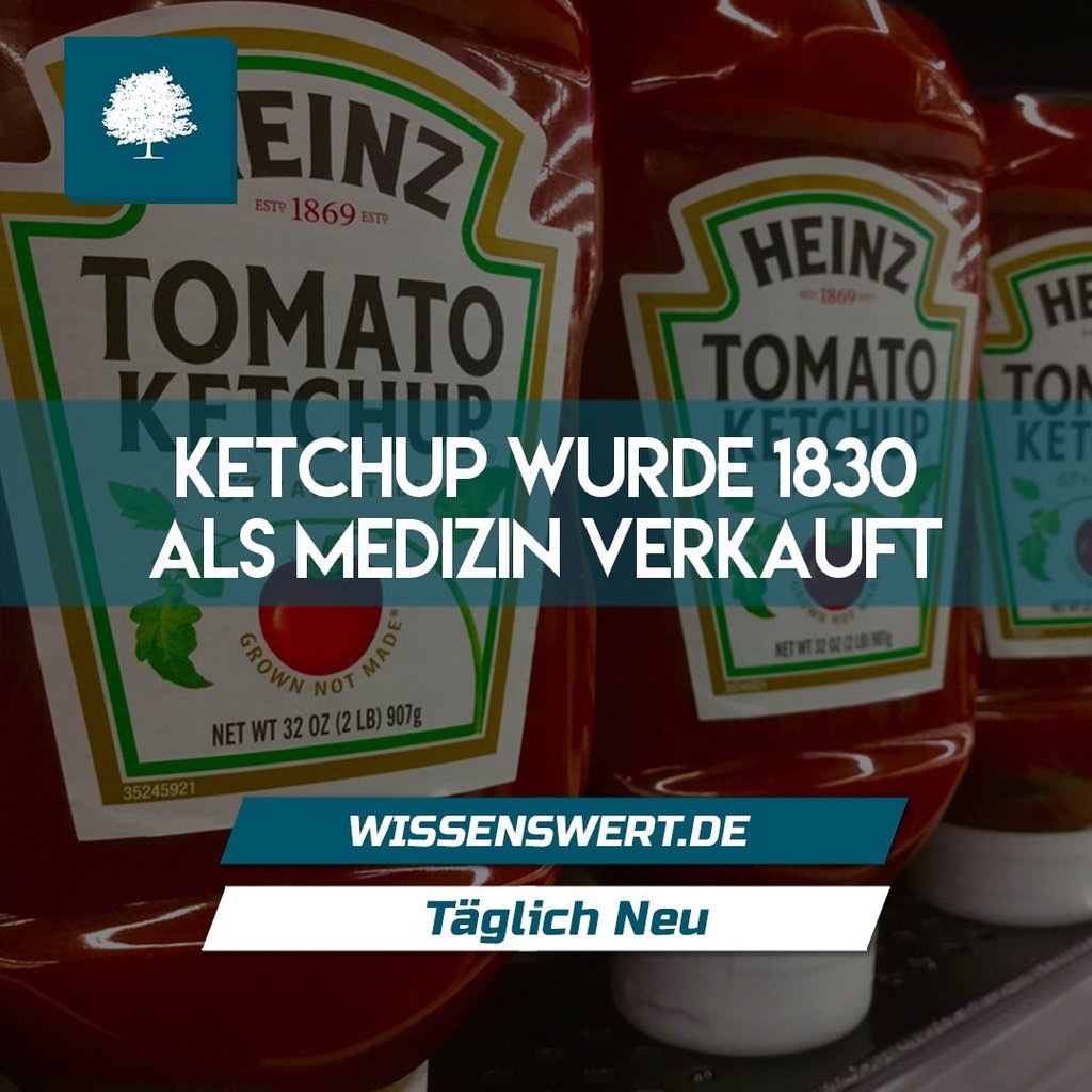 wissenswert_de's tweet photo. Ketchup wurde 1830 als Medizin verkauft
.
.
.
.
.
.
.
.
.
#fakten #fact #fakt #facts #wissen #knowdledge #wissen #ketchup #medicine #medizin #medikament #1830 https://t.co/MyKf5UnSbj