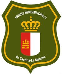 AEAFMA's tweet photo. Denuncian que la Junta manda a los #AgentesMedioambientales👮🌲#CLM al fuego sin las medidas adecuadas.
“La licitación para reponer los EPIs de los AAMM fue desde el principio chapucera, y a nuestro juicio ilegal”,indica @CCOOAgentesJCCM

👉https://t.co/nbQLS8zUKk
vía @masquealba https://t.co/lhUogrCWVZ