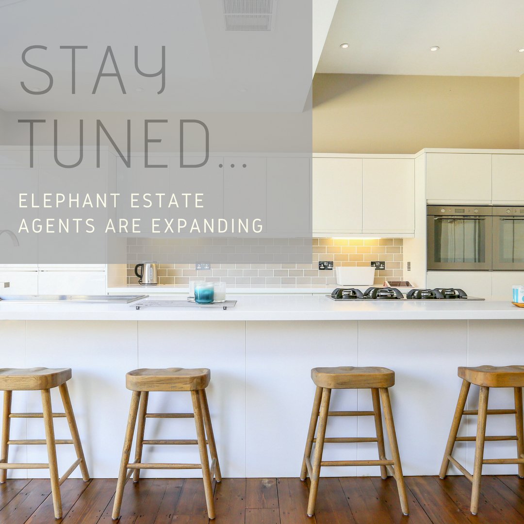 Exciting times to come ... elephant is on the move. #elephantlovesbristol #elephanthomes #elephantestateagents #elephantsexpanding #theherdisgrowing #wheretonext
