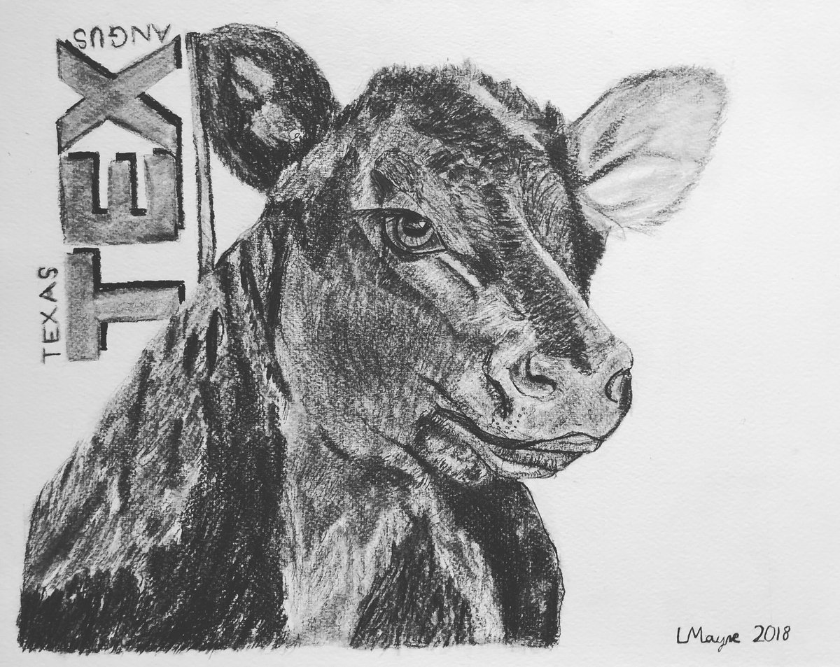 texasangus's tweet photo. Our 12 year old son, Lachie, drew this picture of a Texas Angus calf for his fathers birthday. Ben will treasure this forever! #artist #childrensart #angusbeef #texasangus #specialmoment #fatherandson https://t.co/Bs5lTaqUch