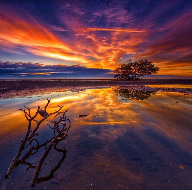 edaccessible's tweet photo. Photo by Ben Mulder @natgeo ・・・ Sticks in the water Queensland, Australia 🇦🇺 #love #TagsForLikes #TagsForLikesApp #instagood #me #smile #follow #cute #photooftheday #tbt #followme #girl #beautiful #happy #picoftheday #instadaily #food #swag #amazing #TFLe… https://t.co/ZtsARkr60h