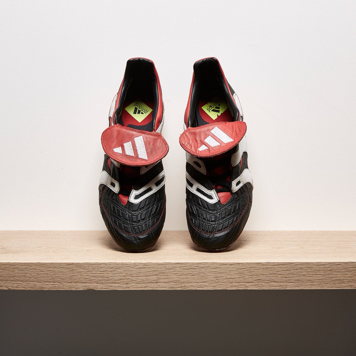 predator accelerator pro direct