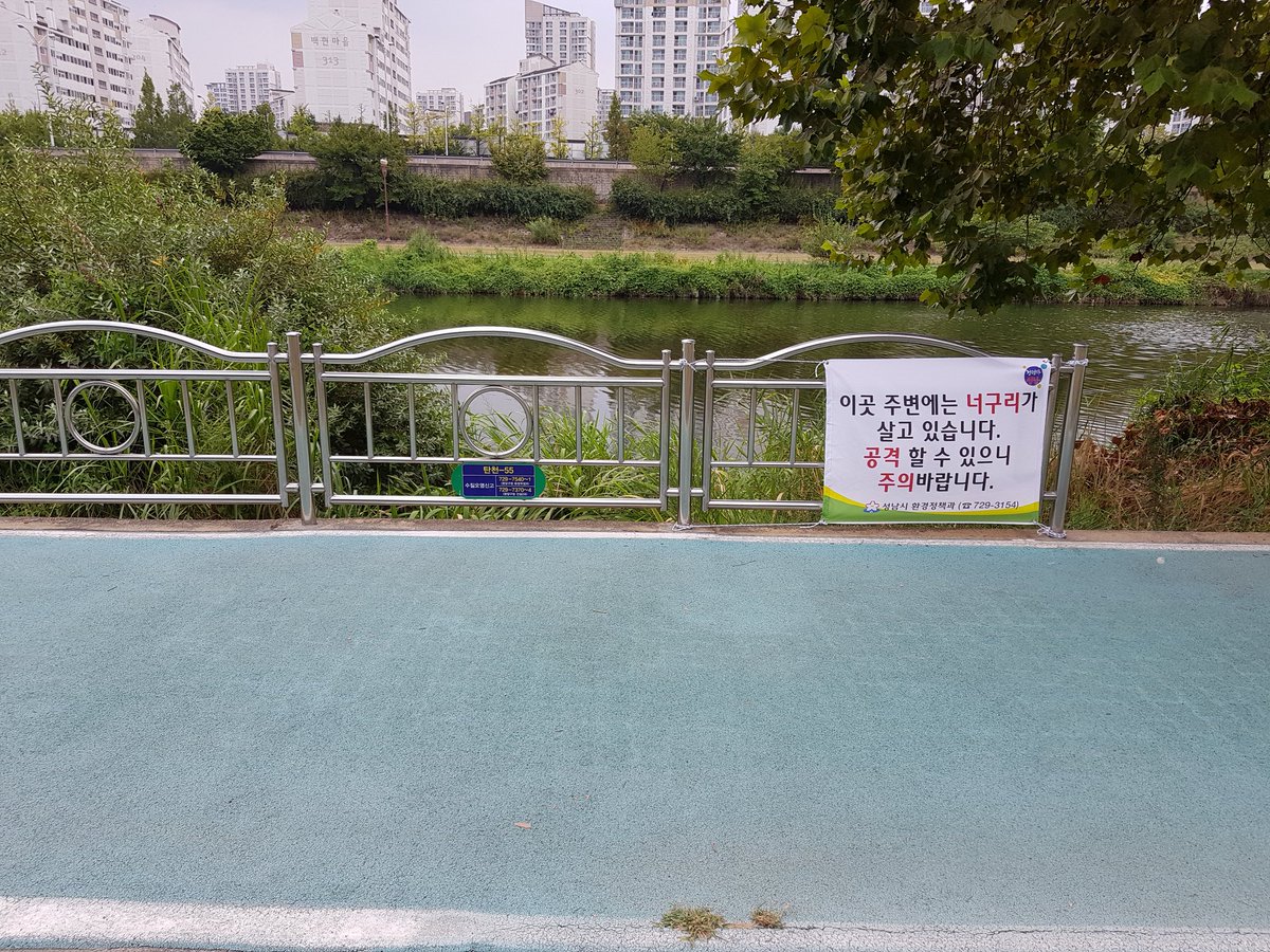 #성남시 환경정책과 탄천 너구리 출현으로 너구리 조심 안내 현수막 및 광견병 백신을 살포

탄천은 사람과 자연이 함께하는 생태하천
너구리와 같은 개과인 반려견과 다툼이 해마다 발생
야간에 탄천 산책시 가급적 짧은 목줄 착용 및 항시 개에게 주의를 하여 비상시 주인통제가 가능하도록 하여야함