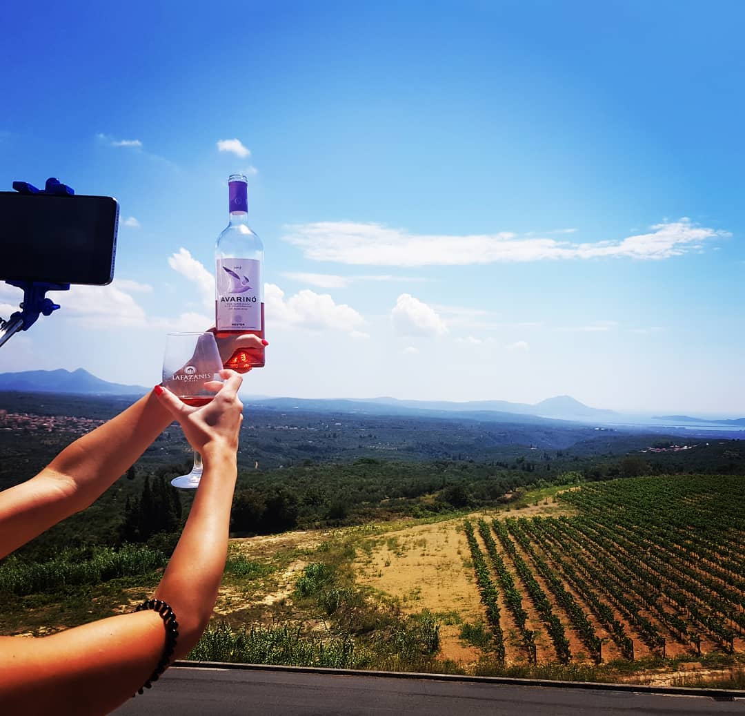 Nestor Wines tweet media