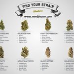 Image for the Tweet beginning: Know your strains What do