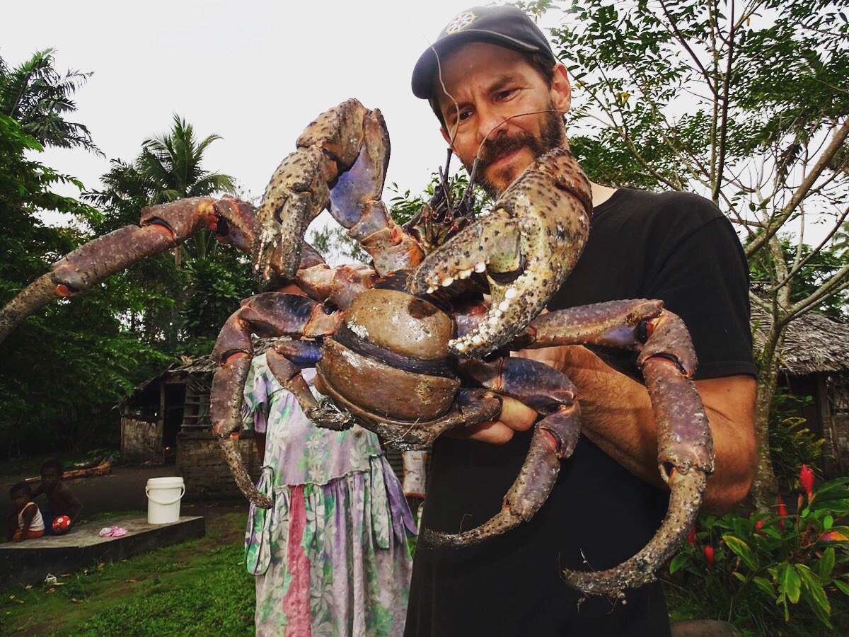 George Kourounis on X: Have you ever seen a coconut crab before? These  land-dwelling crabs are HUGE! Yes, they could snip a finger off pretty  easily. Endu Village, Vanuatu. #photography #explore #Vanuatu