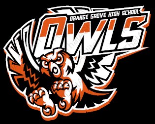 Fired Up for the 2018-2019 School Year- Go Owls!