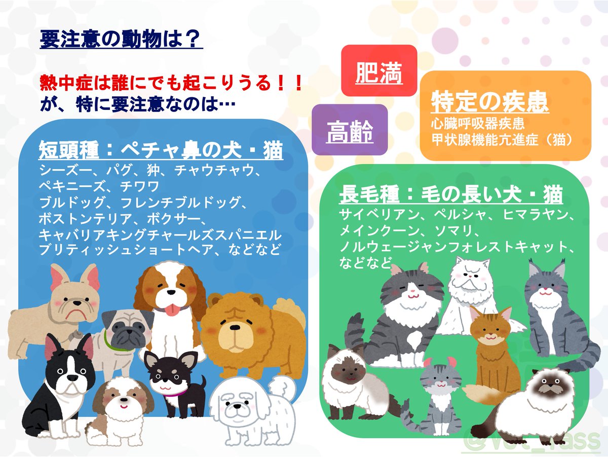 靖えもん 獣医 In 日 豪 印 No Twitter 犬の熱中症 1 3 熱中症に関して 米国と日本で獣医師をしている西山ゆう子先生のfacebookの記事が非常にわかりやすかったので 許可をいただいて一般の飼主さん向けにまとめ 知っている人も知らない人も ぜひ