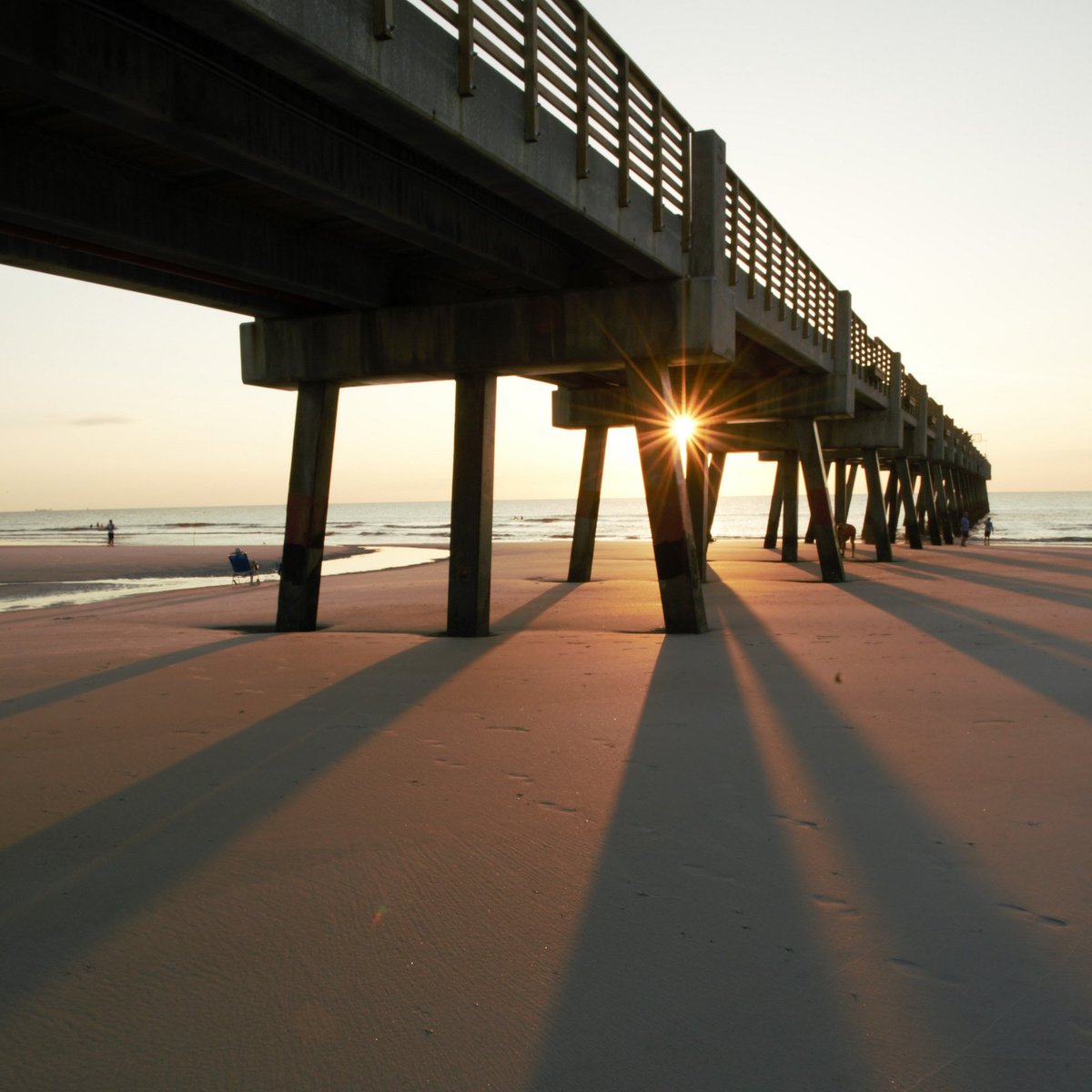 VISITFLORIDA's tweet photo. Good morning, #Florida! #LoveFL https://t.co/4YkeV1Gx0W