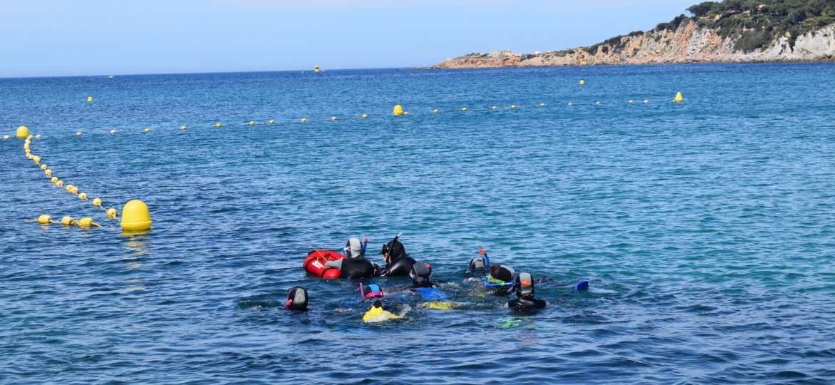 OfficedeSanary's tweet photo. SENTIER SOUS MARIN 🏊‍♂️à #Portissol
Il reste de la place pour la semaine ! Une activité nautique et pédagogique, à faire en famille ou entre amis 😉 #Vacances #sentiersousmarin #sanarytourisme 📸@aggloSudStBaume https://t.co/DPkIb0Sf8M
