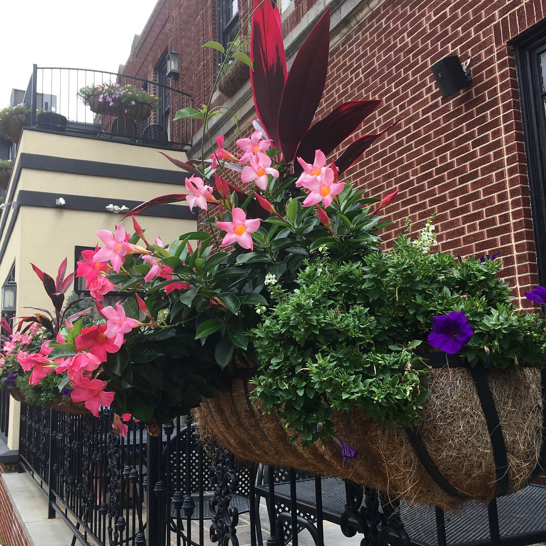 No humidity for the first time in months! Join us today and dine al fresco on our patio. #stoveandtap