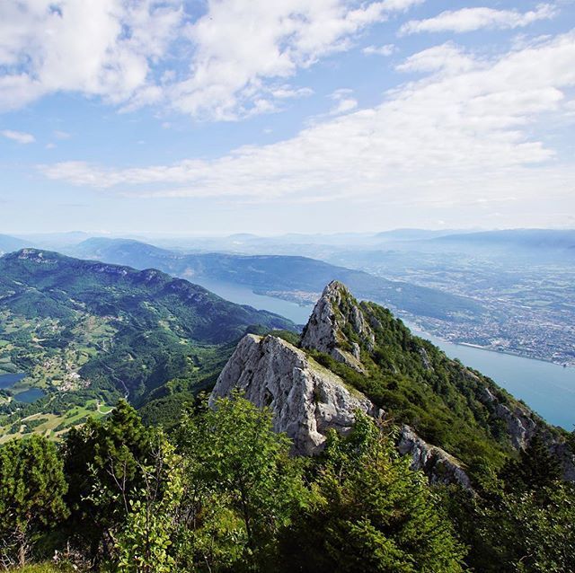 carnetsdeyann's tweet photo. The view from above... 💙
.
.
#weekend #alpes #dentduchat #aixlesbains #mountain #viewfromabove #hike #mount #travellushes #traveladdict #wanderlust #beautifulfrance #alps #rendezvousenfrance #holidays #instamood #instagood #goodlife #clouds #cloudpor… https://t.co/iNHZhC3ttY https://t.co/gW3PW6b9qd