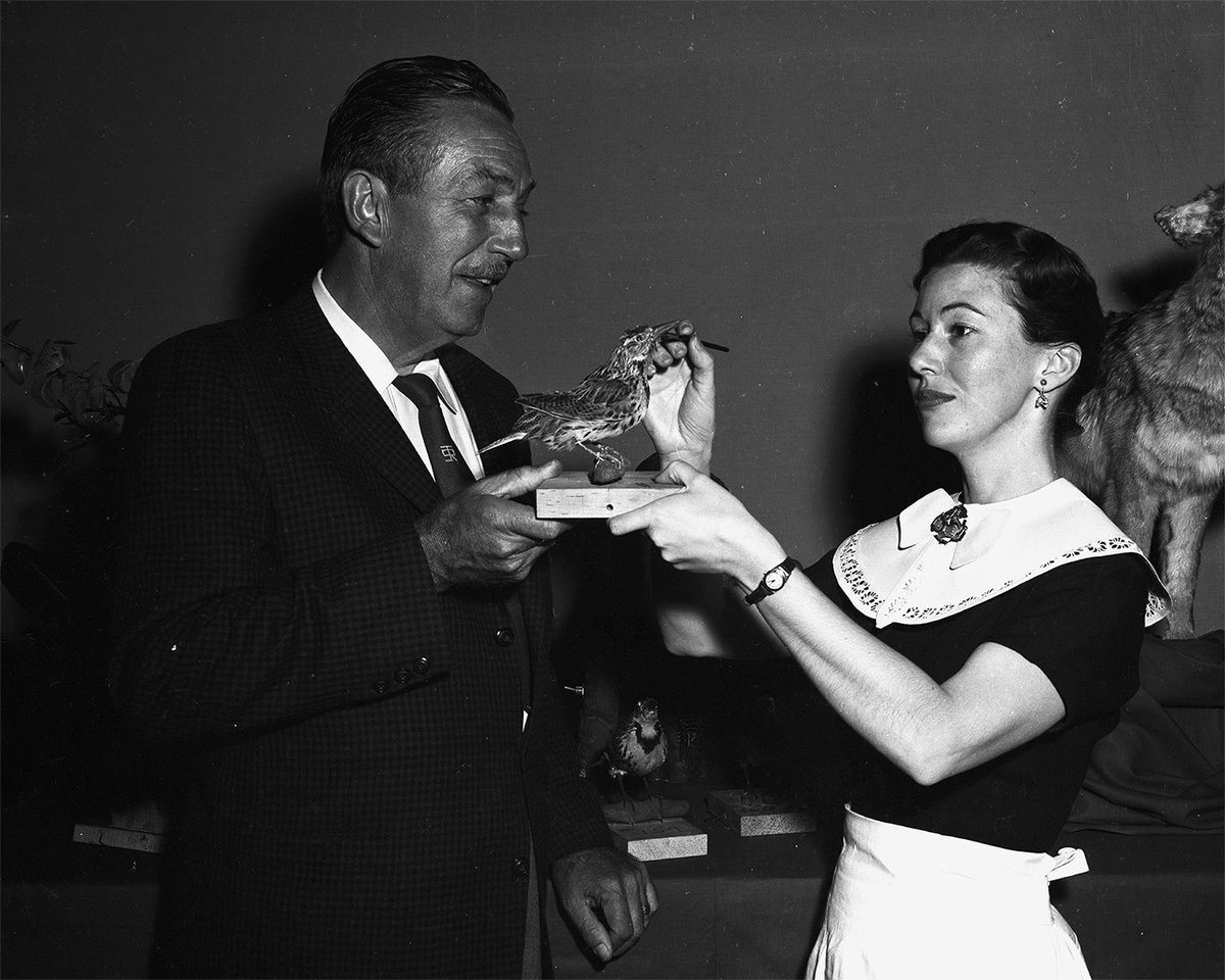 The Walt Disney Family Museum tweet media