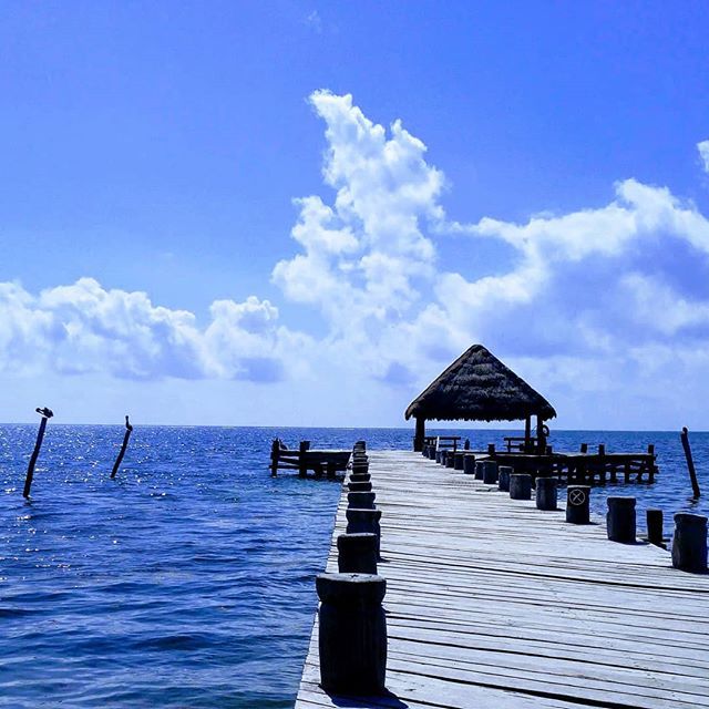 CasaViajeros's tweet image. Another #beautiful #day in #puertomorelos #mexico #clear #bluesky &amp;amp; #bluewater #nofilter
#sea #sand #surf info in bio
#casadelosviajeros #vacationrental 
#doyoutravel #travelandlife #traveldeeper #travel #travelphotography #travelblogger #vacationmode #vacation #suitcasetrav…
