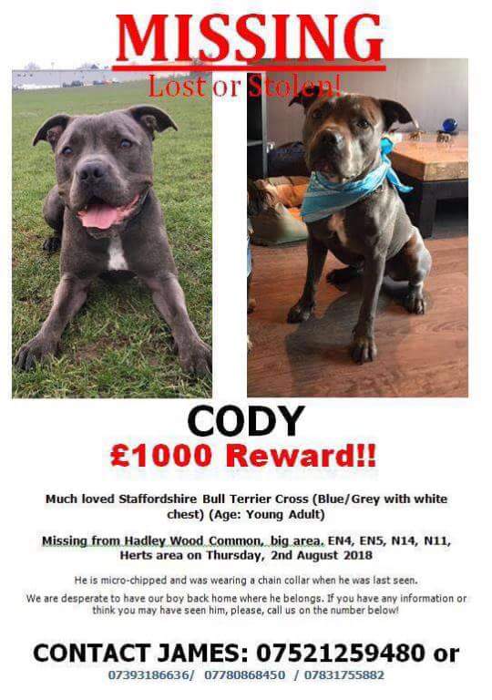 PIGGIE58ofPB's tweet photo. CODY IS STILL MISSING FROM HADLEY WOOD COMMON.
#HadleyWood 
#Barnet 
#MissingStaffie 
#MissingDog https://t.co/jwx1QHe7nE