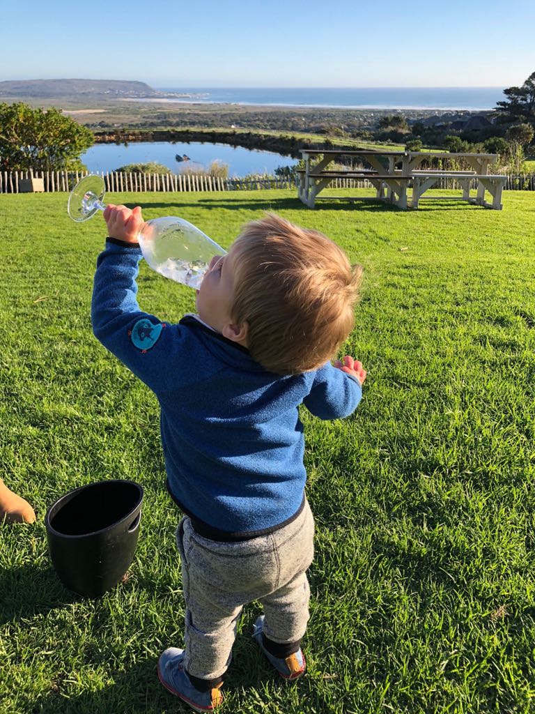 FindWineSA's tweet photo. It appears the #winelover gene is simply unavoidable!! #winewednesday feels https://t.co/m5f4WbKFrs