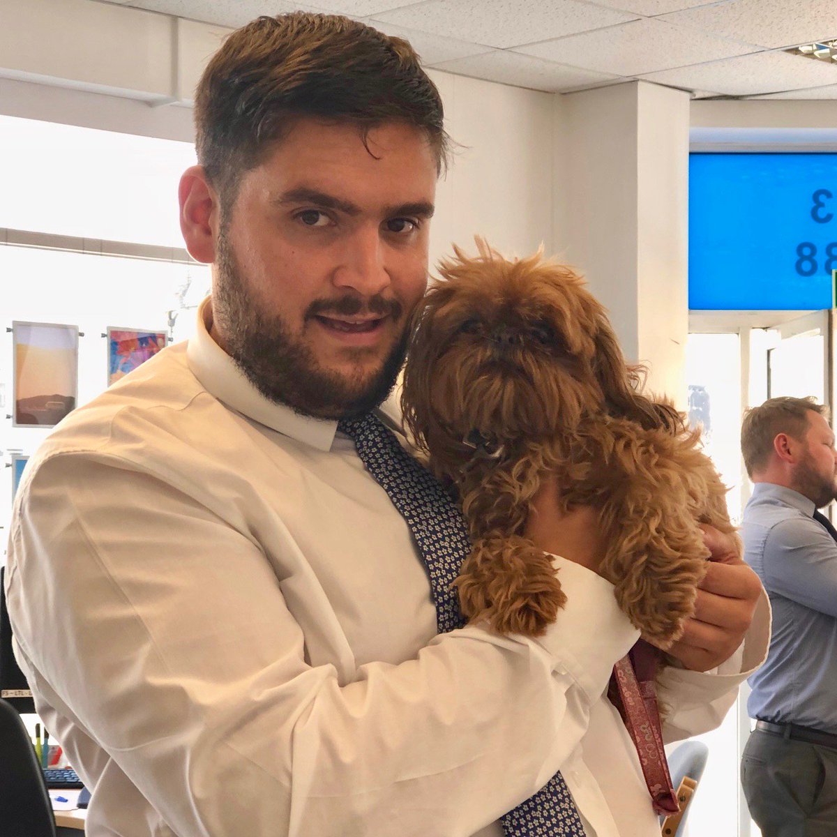 mishonmackay's tweet image. Here’s something to cheer you up if you’re having a #pawful day. Glenn is a Senior Sales Negotiator in our West Hove &amp;amp; Portslade office - and he had a four-legged friend visit him today: