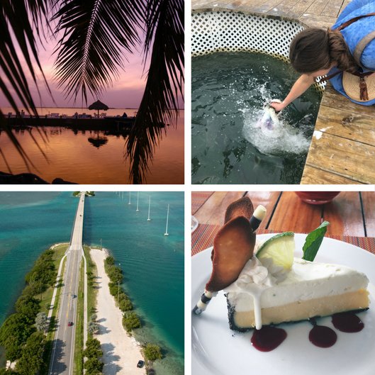 thefloridakeys's tweet photo. Happy Monday! No visit to the #FloridaKeys would be complete without _________. Fill in the blank! https://t.co/2W4d3X6npp