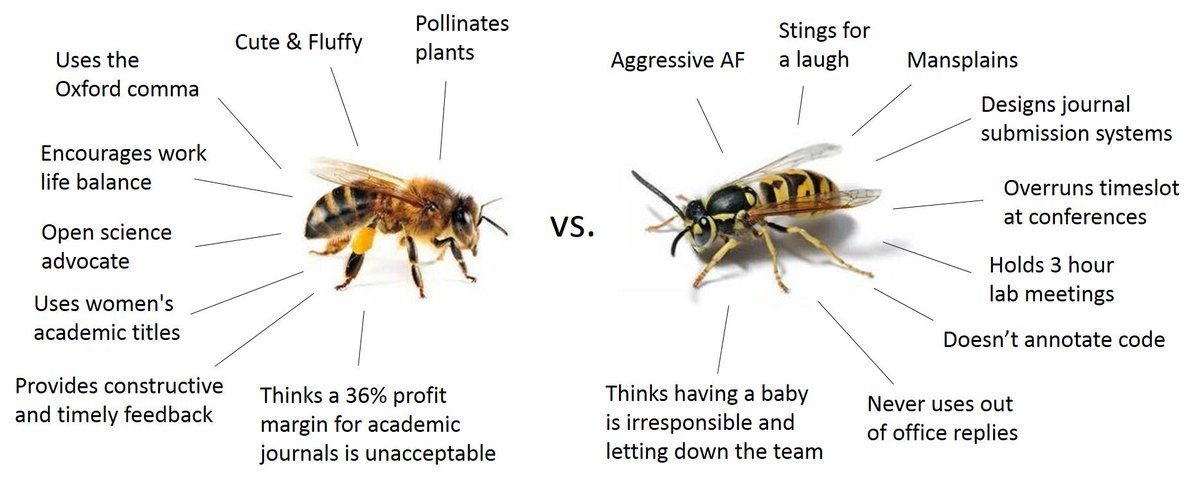 Bees vs. wasps, it's important to know the difference.